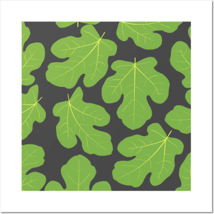 Fig leaves green Posters and Art